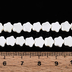 Natürlichen Süßwasser-Muschelperlen Stränge&nbsp;SHEL-N027-02-01