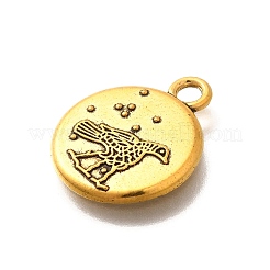 Pendentifs en alliage de style tibétain&nbsp;PALLOY-D291-16AG