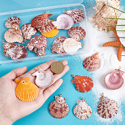 25pcs natürliche Muschelanhänger&nbsp;PALLOY-PH01859