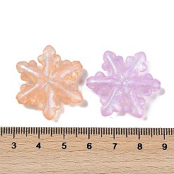 Leuchtende transparente Acrylperlen&nbsp;LACR-U001-06