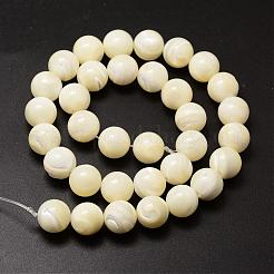 Chapelets de perles en coquillage naturel&nbsp;SSHEL-K013-12mm-A