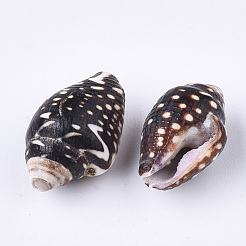 Spiralmuschelperlen&nbsp;SSHEL-T008-23