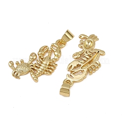 Messing Anhänger & Charms&nbsp;KK-I358-057G-02