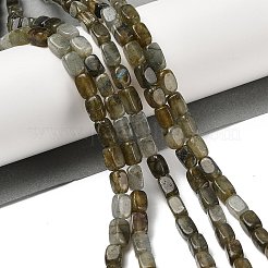 Perline labradorite naturale fili&nbsp;G-H087-D03-01