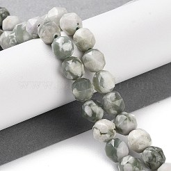 Natürliche Frieden Jade Perlen Stränge&nbsp;G-NH0021-A08-01