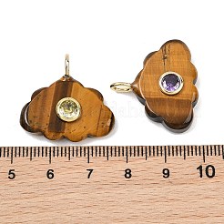 Pendentifs en œil de tigre naturel&nbsp;GG-CBA5B00-01G-03