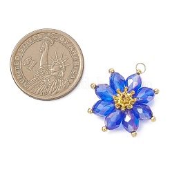 Pendentifs en verre&nbsp;PALLOY-MZ01143-01