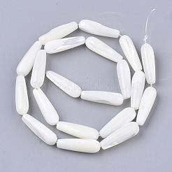 Fili di perle di conchiglia trochid naturale / trochus&nbsp;X-SSHEL-N032-03