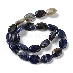 Perline sodalite naturale fili&nbsp;G-L164-A-20