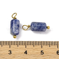 Pendentifs cloumn en sodalite naturelle&nbsp;STAS-H221-04G-06