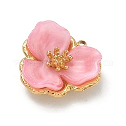Pendentifs en acier inoxydable 304&nbsp;STAS-C174-15G-04