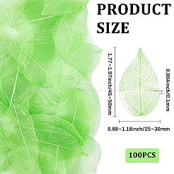 100 pièce de fournitures d'artisanat en feuilles de fleurs séchées&nbsp;AJEW-CP0009-41A
