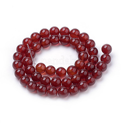 Cuentas de cornalina naturales hebras&nbsp;LS-G-S259-32-8mm
