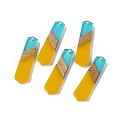 Pendentifs en résine transparente et bois de noyer&nbsp;RESI-M027-06F