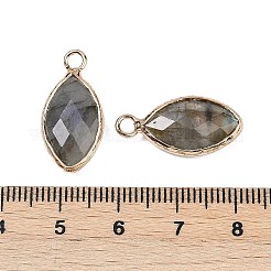 Anhänger aus natürlichem Labradorit mit Facettenschliff&nbsp;G-G193-01G-10