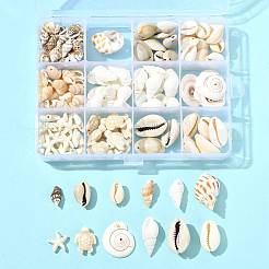 Kit fai da te di perline di conchiglie&nbsp;DIY-FS0010-25