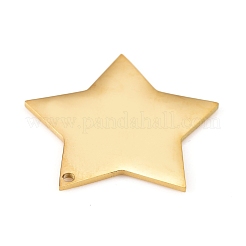 Pendentifs en acier inoxydable 304&nbsp;STAS-L238-108B-G