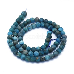Chapelets de perles en apatite naturelle&nbsp;G-E561-03-6mm