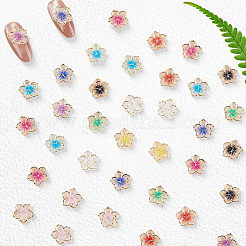 60 Stück 10 Farben plattierte Acryl-Cabochons&nbsp;MRMJ-SC0001-46