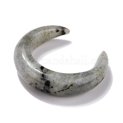 Natur Labradorit Perlen&nbsp;G-J366-16