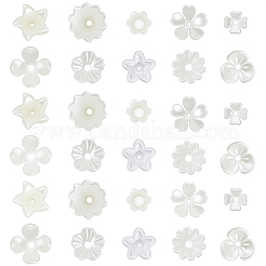 600 Stück 10 Stile ABS-Kunststoff-Imitationsperlen und Acrylperlenkappen&nbsp;OACR-SC0002-36