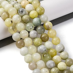 Natürlich neu Jade Perlen Stränge&nbsp;G-F591-16-10MM