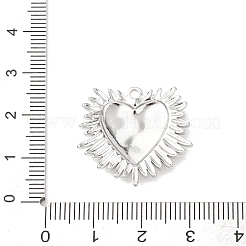 Pendentifs en acier inoxydable 304&nbsp;STAS-D129-10B-P