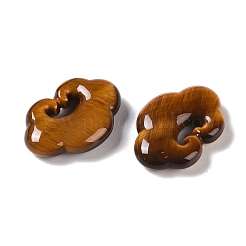 Pendentifs en œil de tigre naturel&nbsp;G-I361-03A