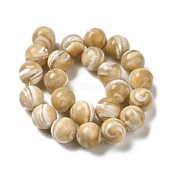 Brins de perles de coquillages naturels de troca&nbsp;SHEL-K006-18A