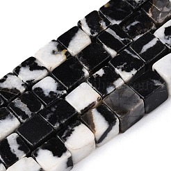 Natur Zebra Jaspis Perlen Stränge&nbsp;G-T139-8x8-15A