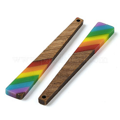 Colgantes de resina y madera de nogal con tema de arcoíris del orgullo&nbsp;WOOD-K012-10A