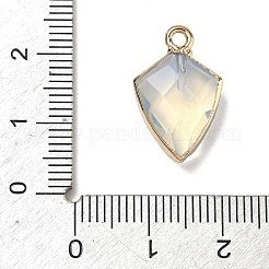Pendentifs opalite&nbsp;G-K422-01G-06