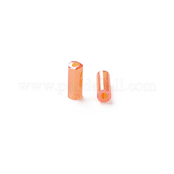 Transparente Farben Glanz Glas Signalhornperlen&nbsp;SEED-N005-001-A11