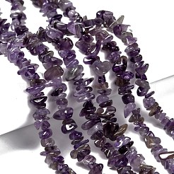 Natürlichen Amethyst Chips&nbsp;X-Z0RRN