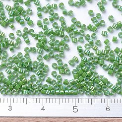 Miyuki Delica Perlen&nbsp;X-SEED-J020-DB0163