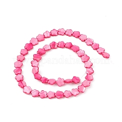 Fili di perline tinti in conchiglia naturale d'acqua dolce&nbsp;SHEL-K001-001D