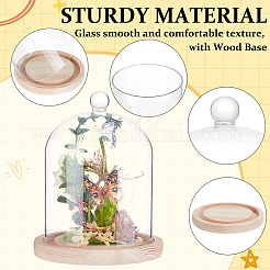 Couvercle de dôme en verre&nbsp;DIY-WH0504-317A