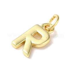 Cremagliera charms ottone placcatura&nbsp;KK-P245-06G-R