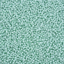 13/0 Glasperlen&nbsp;SEED-T005-14A-A19