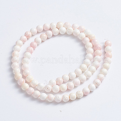 Natürliche rosa Muschelperlenstränge&nbsp;SSHEL-L016-18A