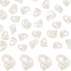 20 Stück natürliche Spiralmuschelperlen&nbsp;SSHEL-SC0001-56