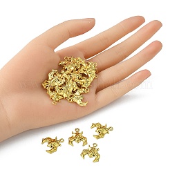 Tibetischer stil Aluminium Anhänger & Charms&nbsp;TIBE-YW0001-02AG