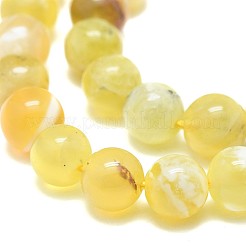 Giallo naturale perline opale fili&nbsp;G-F674-07AB-8mm