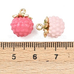 Charms del esmalte de la aleación&nbsp;FIND-G101-03G-01