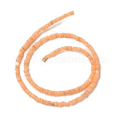 Eau douce naturelle de coquillage perles brins&nbsp;SHEL-P017-01B-05