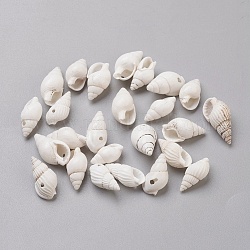 Perle di conchiglia a spirale, bianco, 15~20x7~10x6~8mm, Foro: 1~1.5 mm, circa 1200pcs/500g