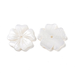 Shell perle bianche naturali, perline di guscio, fiore, colore conchiglia, 23.5~24x24.3~25x2.3~2.8mm, Foro: 1.8 mm