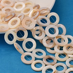 Cuentas de concha naturales blancos mechones, Madre perla cuentas de concha, buñuelo, blanco, aproximamente 20 mm de diámetro, 3 mm de espesor, agujero: 1 mm, aproximamente 20 pcs / cadena