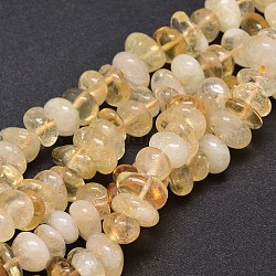 Grade A Natural Citrine Gemstone Nuggets Bead Strands, 6~10x9~12x8~10mm, Hole: 1mm, about 15.3 inch~15.7 inch