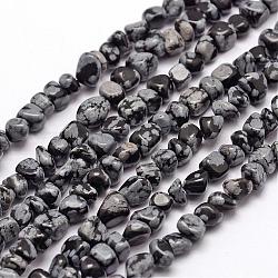 Naturschneeflocke Obsidian Perlen Stränge, Nuggets, 3~5x3~5x3~8 mm, Bohrung: 1 mm, ca. 85~90 Stk. / Strang, 15.7 Zoll (40 cm)